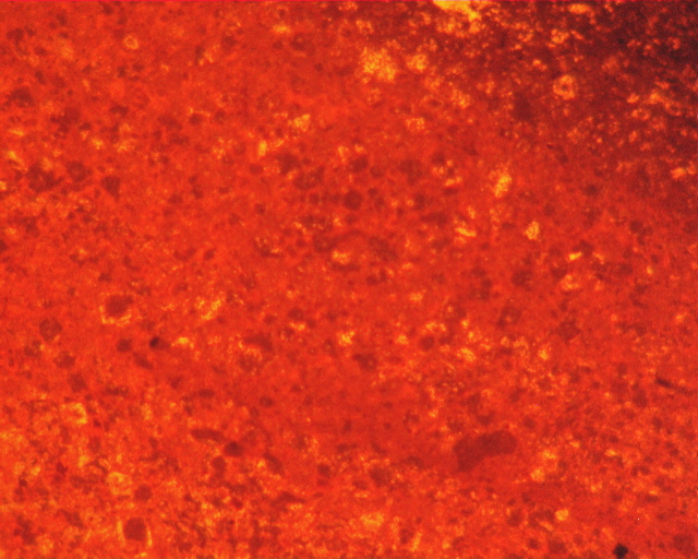 309e1b