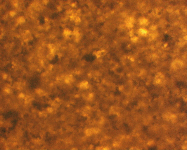 316b2