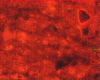 325b