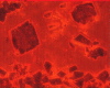 310b