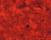 324a