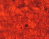 324aa