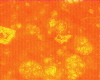324b1