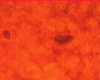 324b