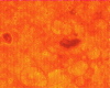 324bbb