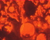 309c