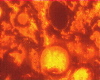 309c1