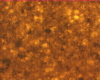 316b2