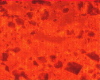 310f