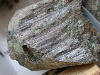 DSCN0387